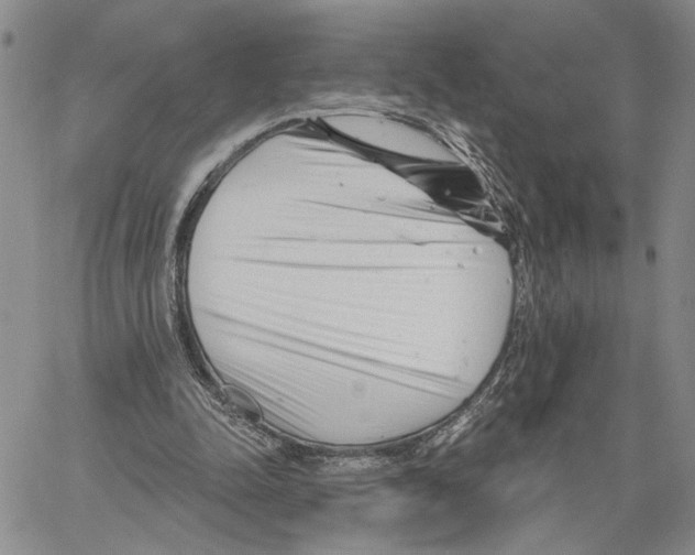 X0000060580342200512011738