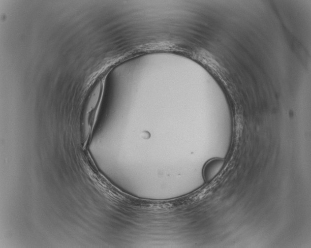 X0000060580345200512011738