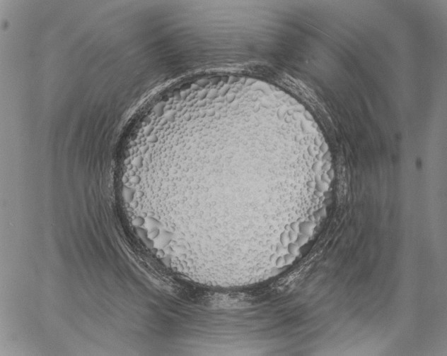 X0000060580346200512011738