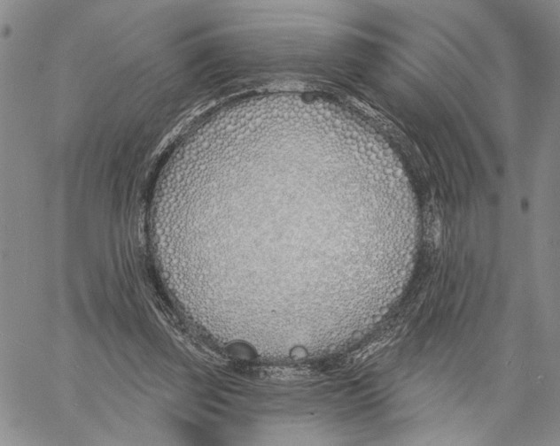 X0000060580347200512011738