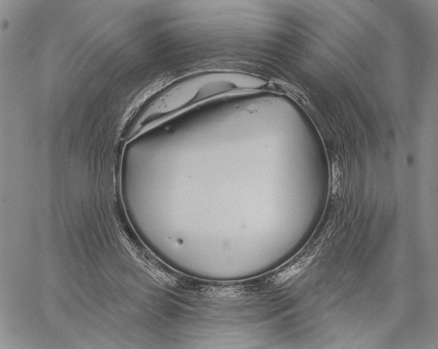 X0000060580349200512011738