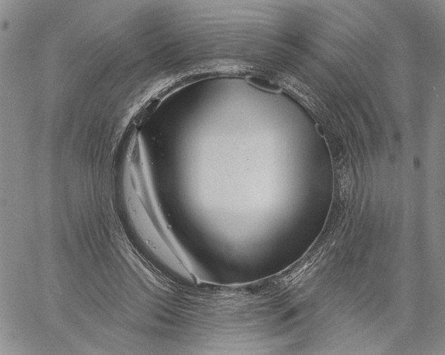 X0000060580350200512011738