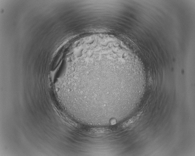 X0000060580351200512011738