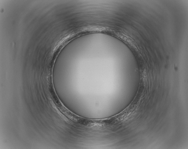 X0000060580352200512011738