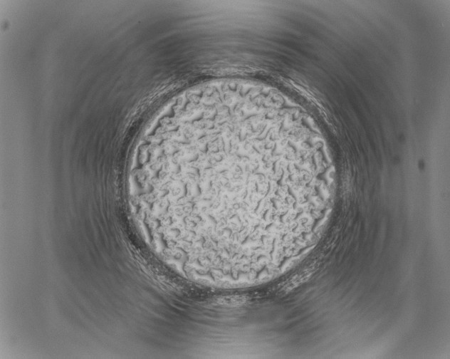 X0000060580353200512011738