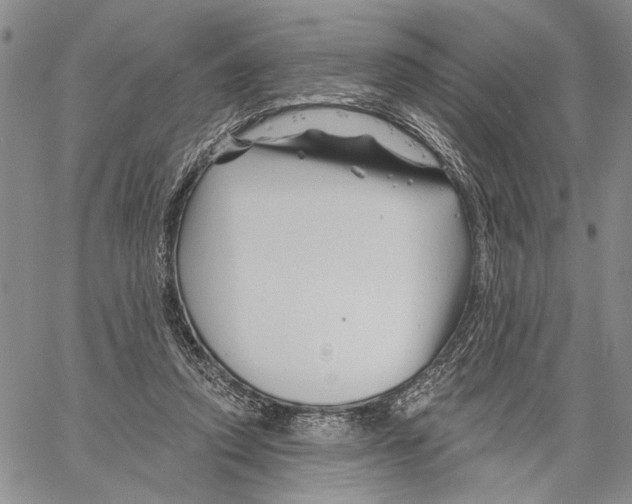 X0000060580354200512011738