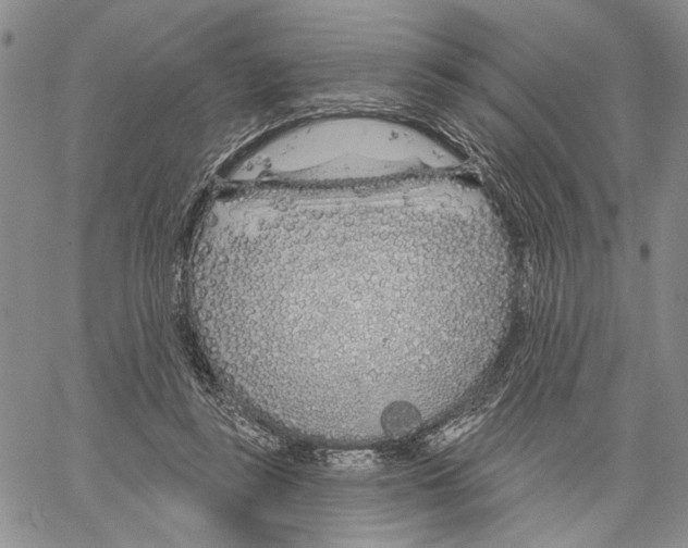 X0000060580355200512011738