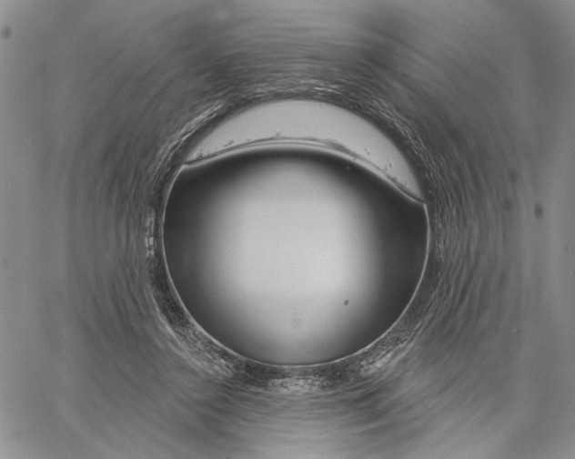 X0000060580356200512011738