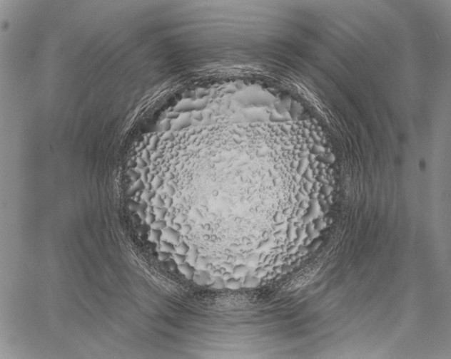 X0000060580357200512011738