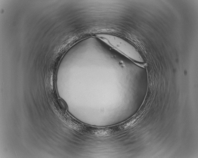 X0000060580358200512011738