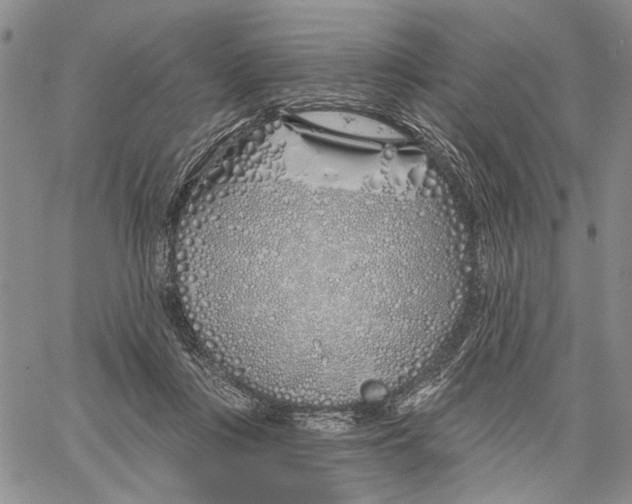 X0000060580359200512011739