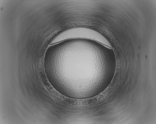 X0000060580360200512011739