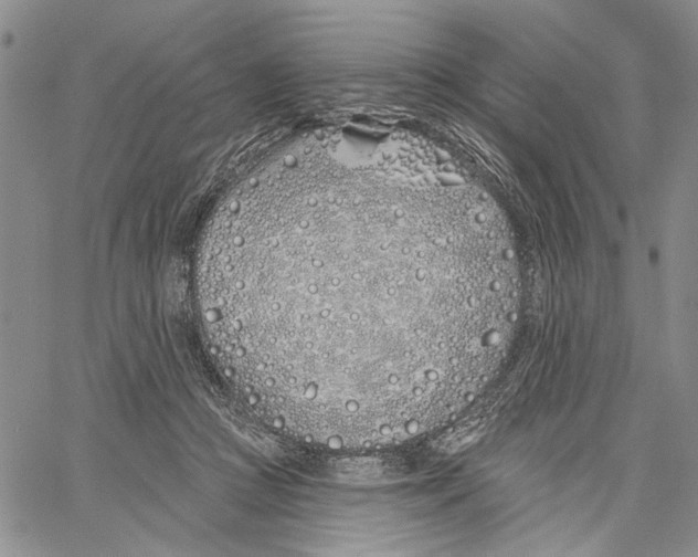 X0000060580361200512011739