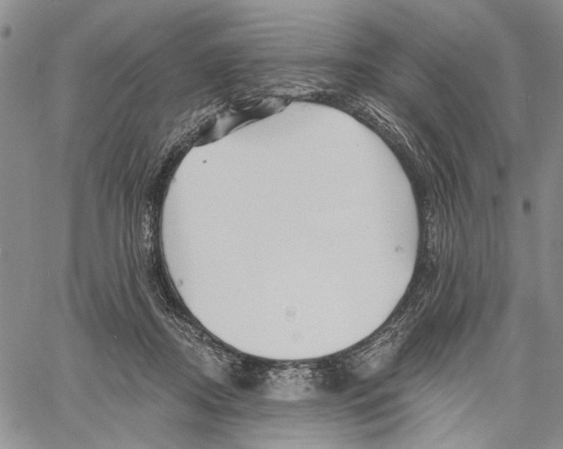 X0000060580362200512011739