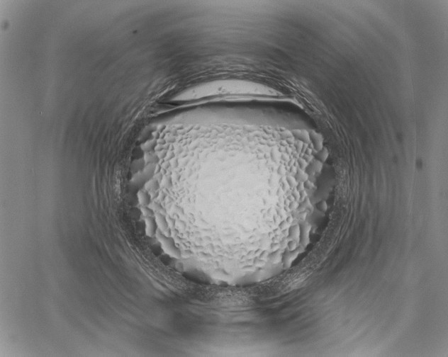 X0000060580363200512011739