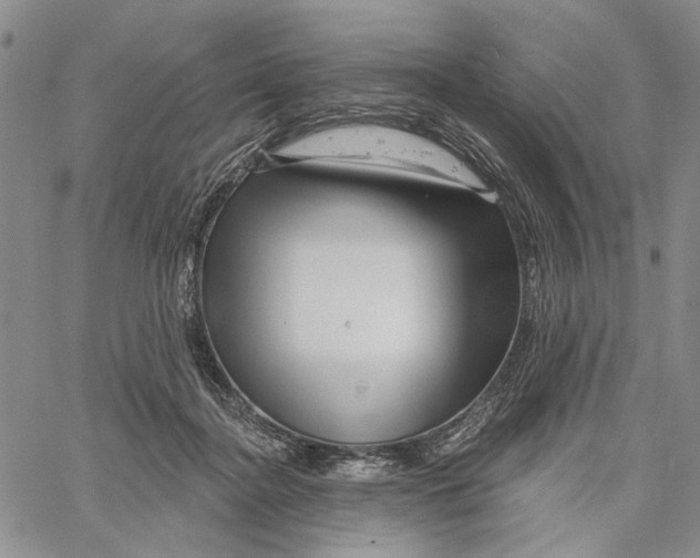 X0000060580364200512011739