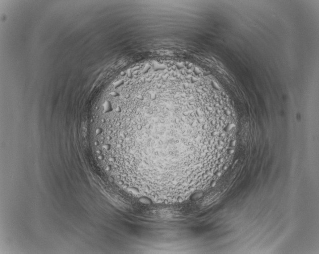 X0000060580365200512011739