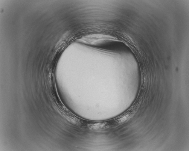 X0000060580366200512011739