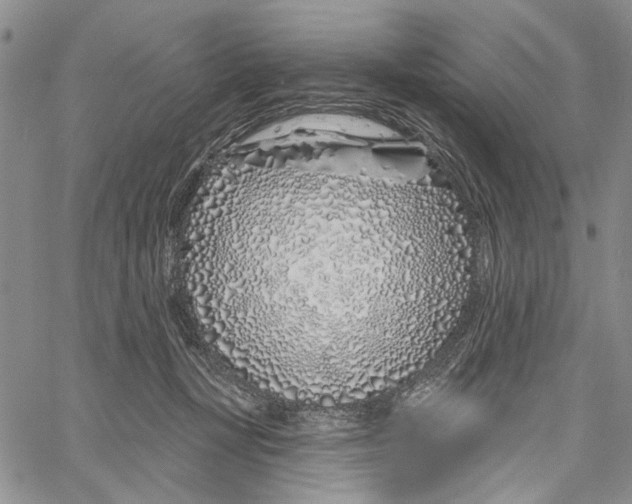 X0000060580367200512011739