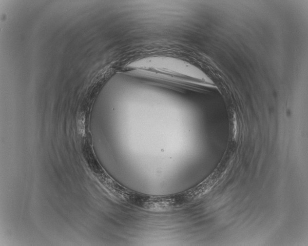 X0000060580368200512011739