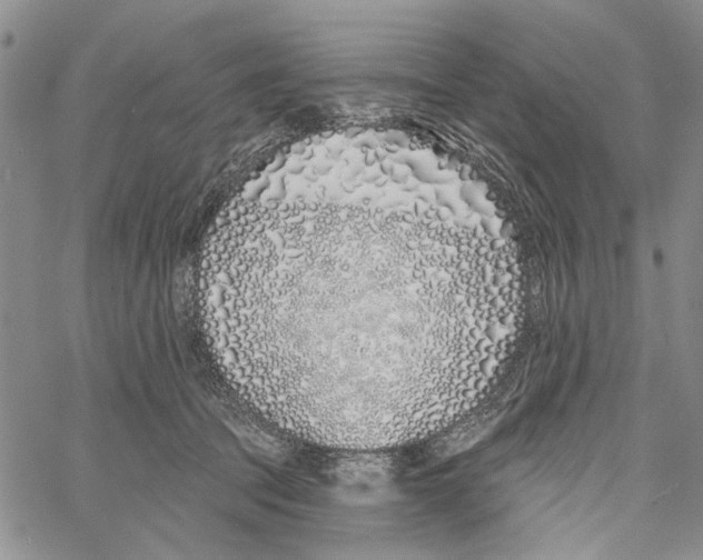 X0000060580369200512011739