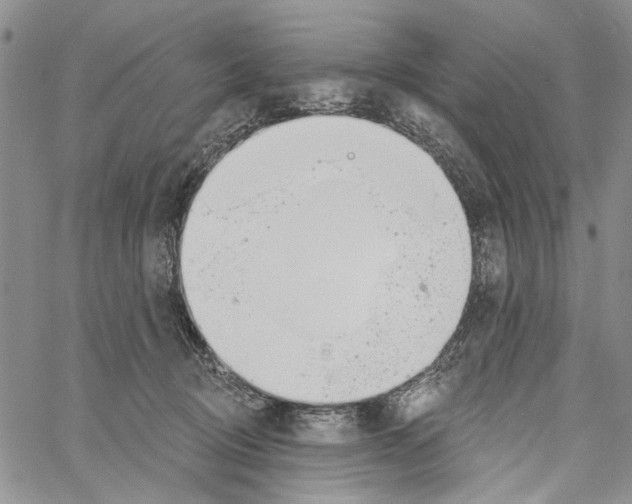 X0000060580370200512011739