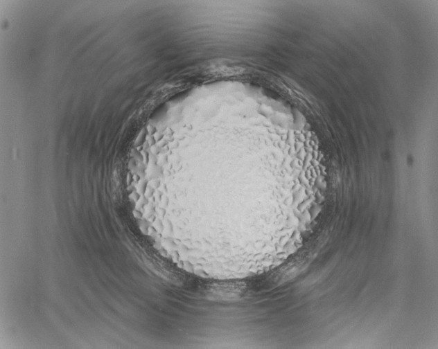 X0000060580373200512011739