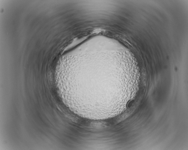 X0000060580375200512011739