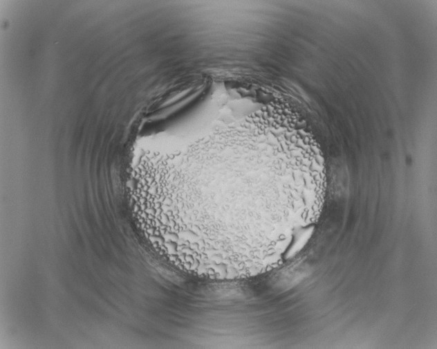 X0000060580377200512011739