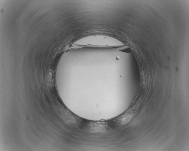 X0000060580378200512011739