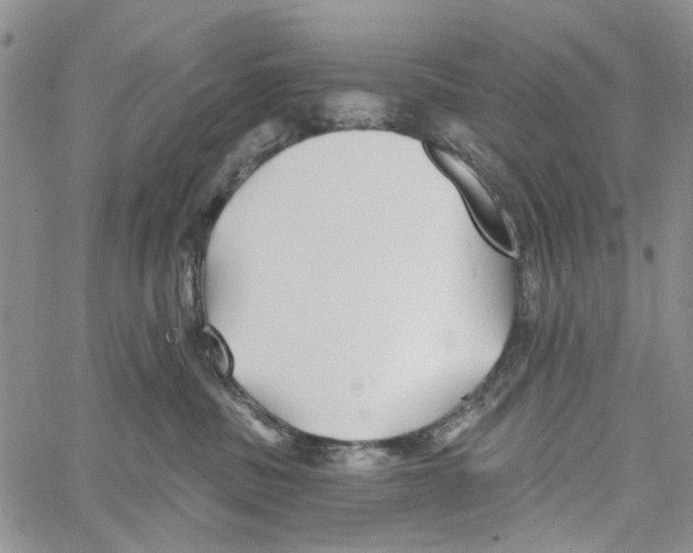 X0000060580379200512011739