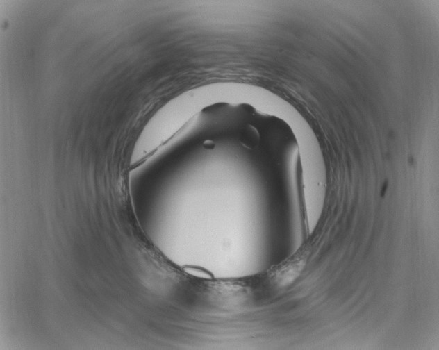 X0000060580380200512011739