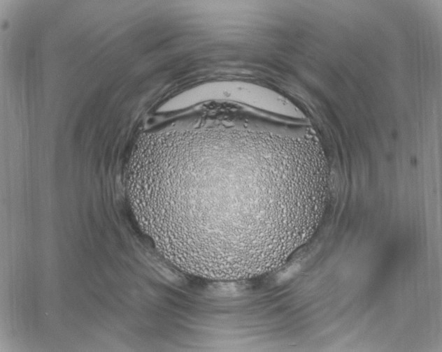 X0000060580381200512011739