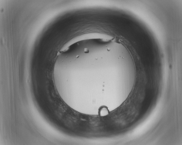 X0000060580382200512011739