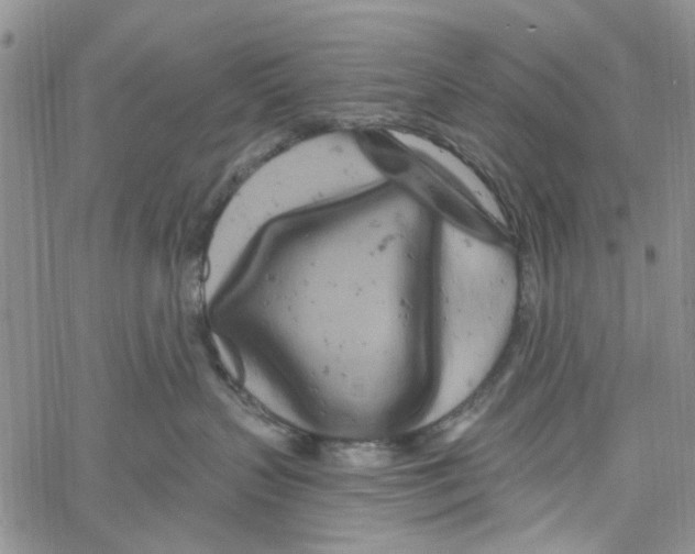 X0000060580383200512011739