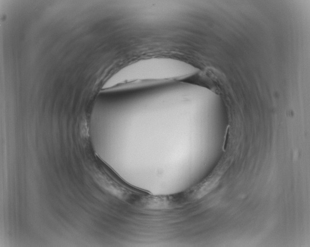 X0000060580384200512011739