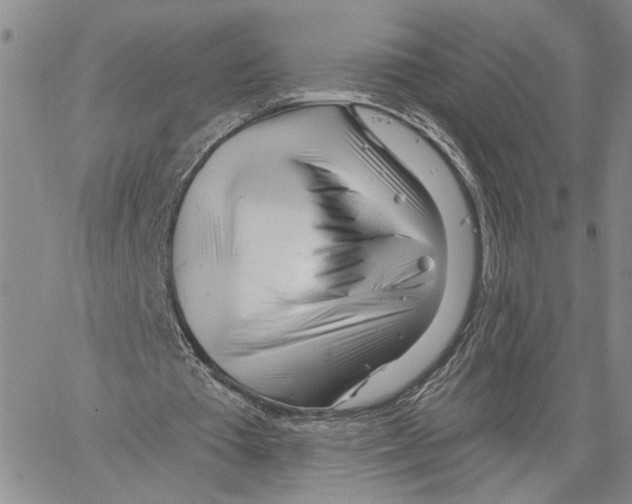 X0000060580385200512011738