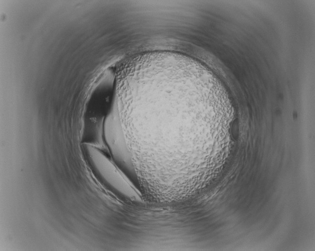 X0000060580386200512011738