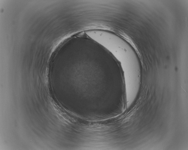 X0000060580387200512011738