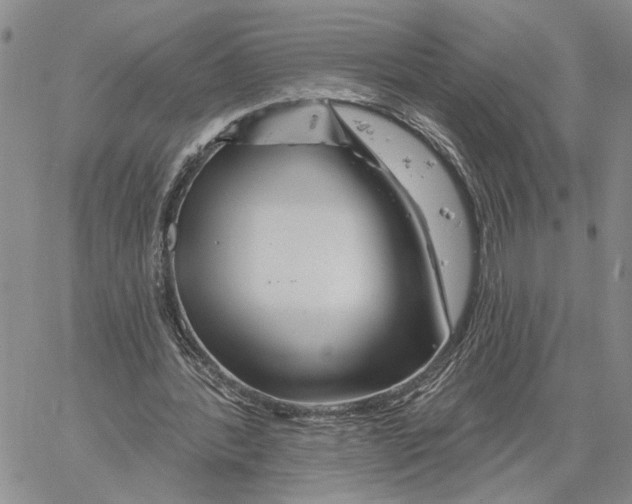 X0000060580388200512011738