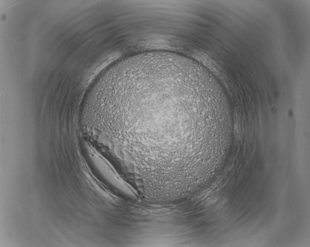 X0000060580390200512011738