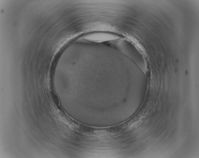 X0000060580391200512011738