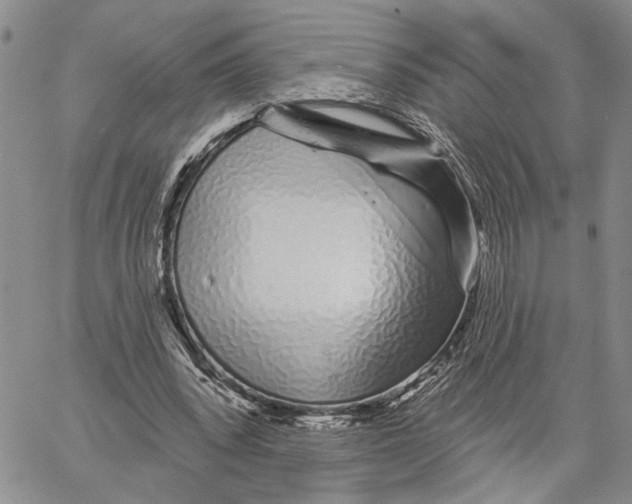 X0000060580392200512011738