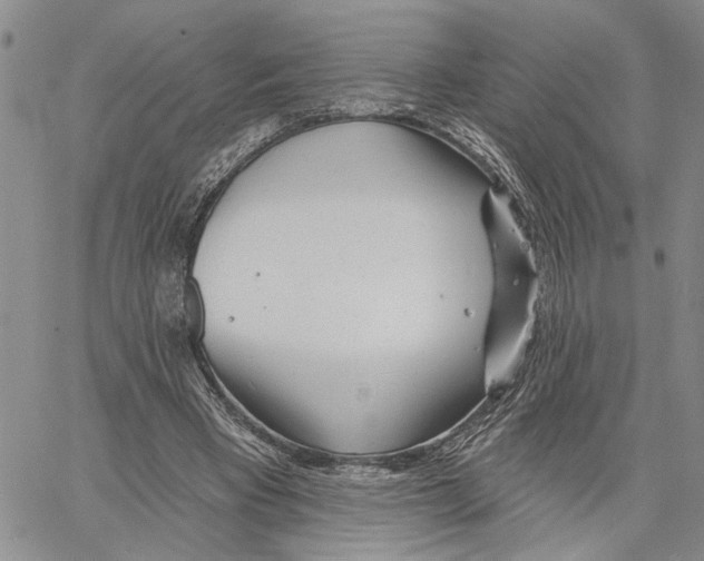 X0000060580393200512011738