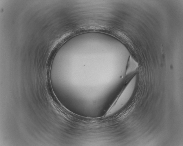 X0000060580395200512011738