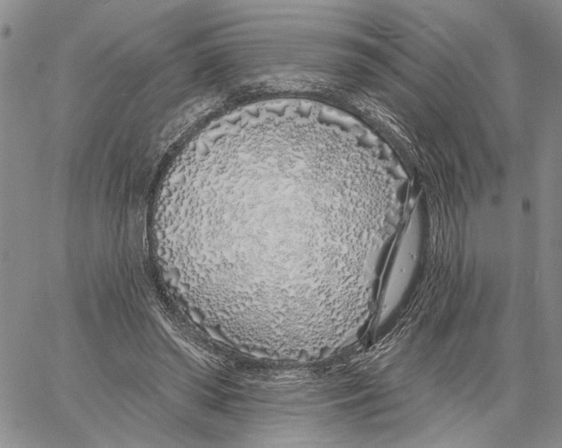 X0000060580398200512011738