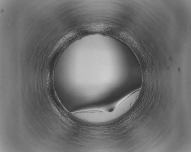 X0000060580400200512011738