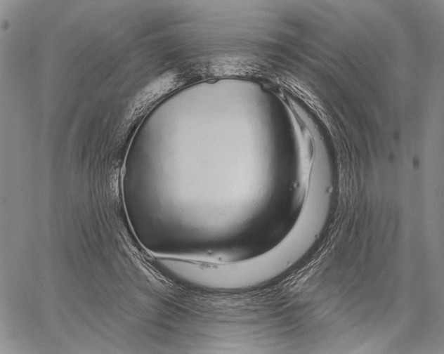 X0000060580401200512011738