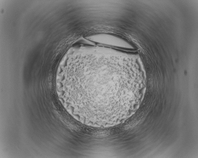 X0000060580402200512011738