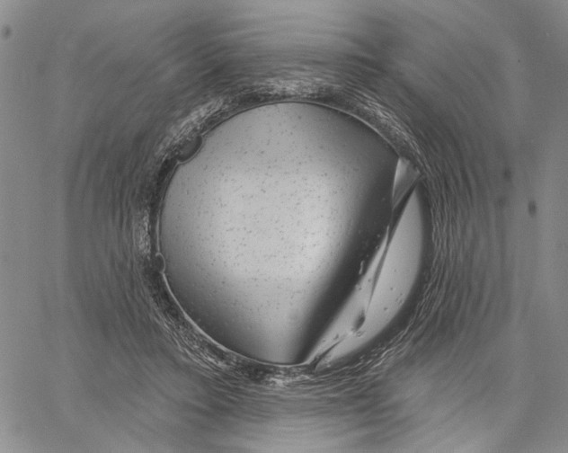 X0000060580403200512011738